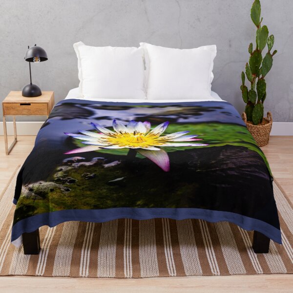 Item preview, Blue tipped Water Lily in Full Bloom designed and sold by Twisted Light Images.