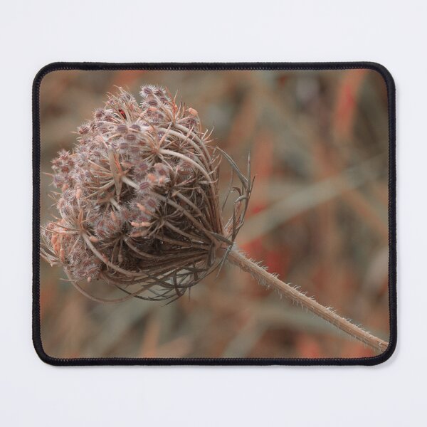 Item preview, Memories of a Wild Flower designed and sold by Twisted Light Images.