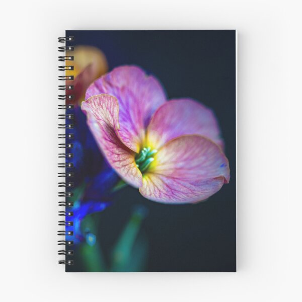 Artikelvorschau, The Velvet Neon: Strahlende Blume entworfen und verkauft von Twisted Light Images.