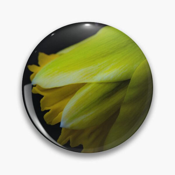 Item preview, Daffodil in Spring’s First Whisper designed and sold by Twisted Light Images.