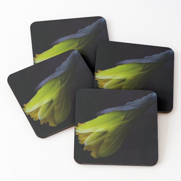 Item preview, Daffodil in Spring’s First Whisper designed and sold by Twisted Light Images.