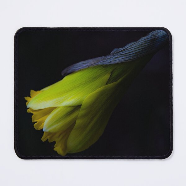 Item preview, Daffodil in Spring’s First Whisper designed and sold by Twisted Light Images.