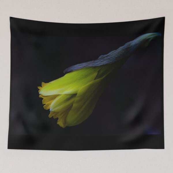 Item preview, Daffodil in Spring’s First Whisper designed and sold by Twisted Light Images.