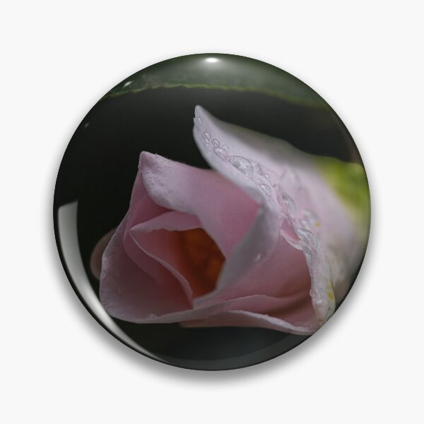 Item preview, Dew-Kissed Flower Petals designed and sold by Twisted Light Images.