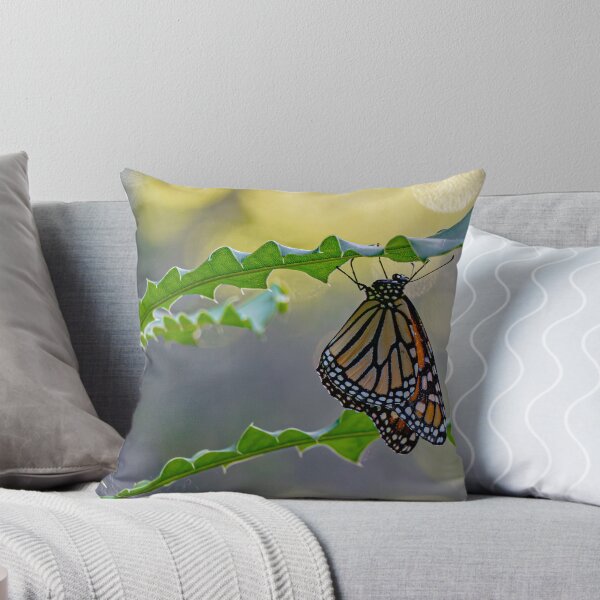 Item preview, Butterfly Suspended in Light designed and sold by Twisted Light Images.