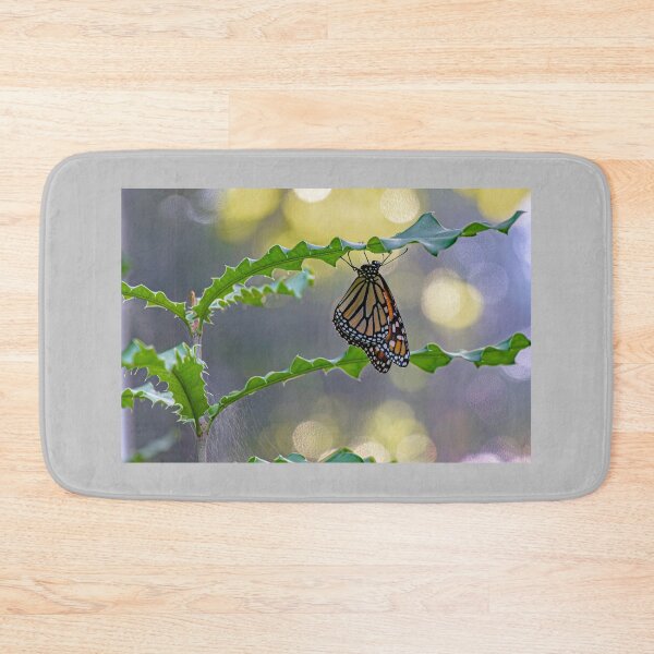 Artikelvorschau, Schmetterling im Licht entworfen und verkauft von Twisted Light Images.
