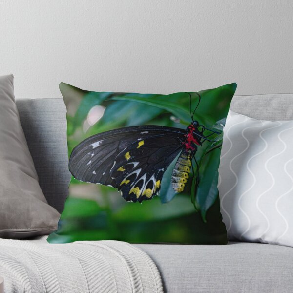 Item preview, Butterfly with Velvet Wings designed and sold by Twisted Light Images.