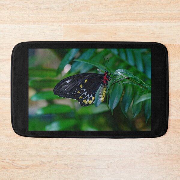 Artikelvorschau, Schmetterling mit Samtflügeln entworfen und verkauft von Twisted Light Images.