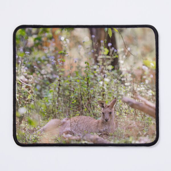Item preview, Kangaroo amongst the flowers designed and sold by Cornishinoz.