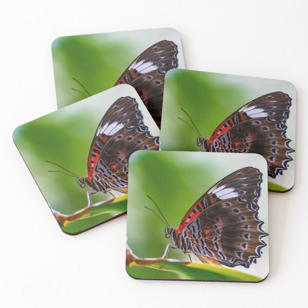 Item preview, Butterfly Wings with an Intricate Edge designed and sold by Twisted Light Images.