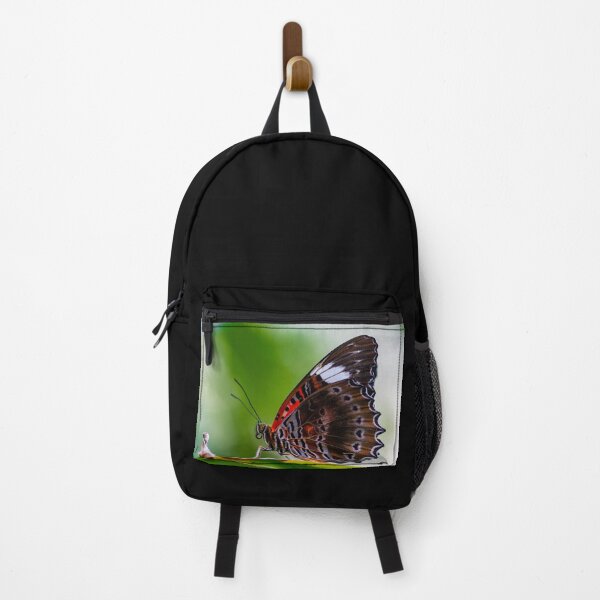Item preview, Butterfly Wings with an Intricate Edge designed and sold by Twisted Light Images.