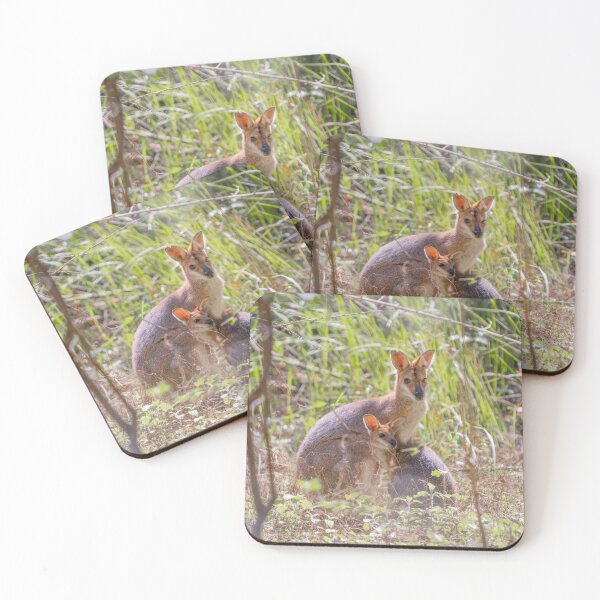Item preview, Mother Wallaby and Joey in the Australian bush designed and sold by Cornishinoz.