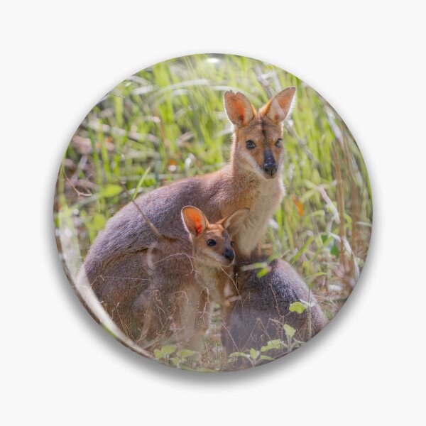 Artikelvorschau, Wallaby-Mutter und Jungtier im australischen Busch entworfen und verkauft von Cornishinoz.