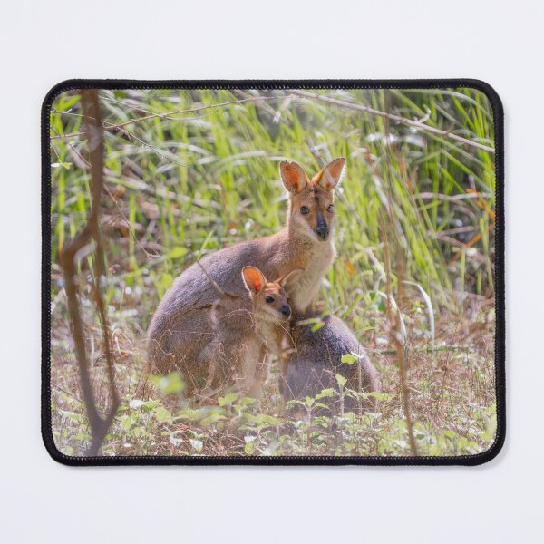 Item preview, Mother Wallaby and Joey in the Australian bush designed and sold by Cornishinoz.