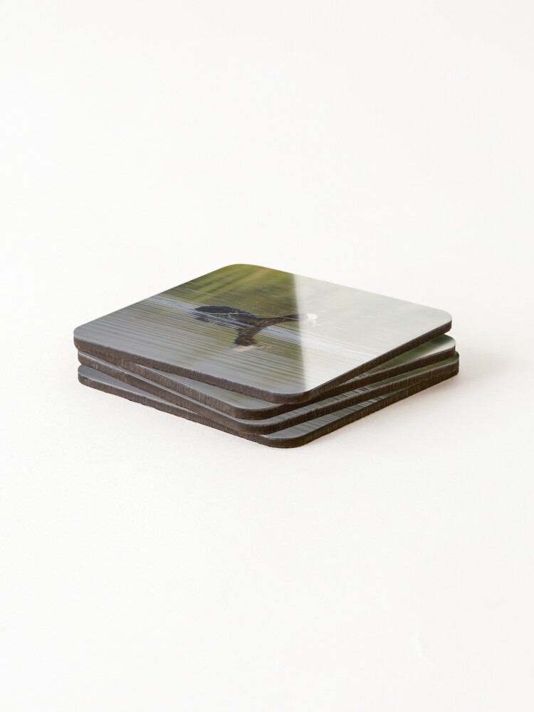 Thumbnail 4 of 5, Coasters (Set of 4), Playing fetch designed and sold by RalphGoldsmith.