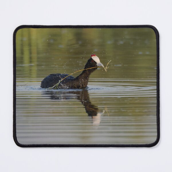 Item preview, Playing fetch designed and sold by Ralph Goldsmith.