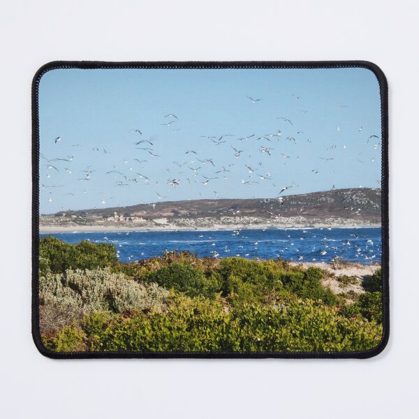 Item preview, Large Flock of Seabirds Over Bay designed and sold by hanlahav.