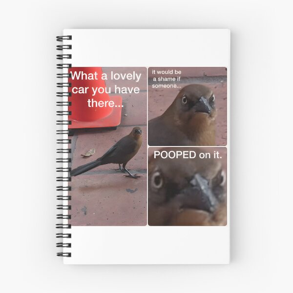 Item preview, Angry Grackle Bird Pooping on Car Funny Nature Design designed and sold by lively. stickers.