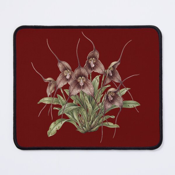 Item preview, The Nightmare Orchid: Dracula Chimaera Dark Botanical Print designed and sold by FreiherrPK.