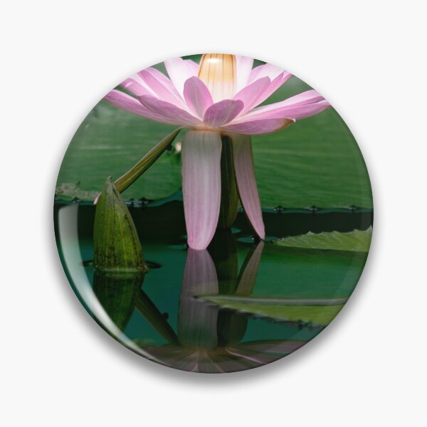 Item preview, Pink Water Lily and Giant Pad on an Emerald Pond  designed and sold by Twisted Light Images.