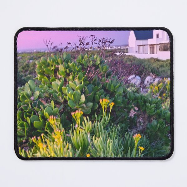 Item preview, Coastal Fynbos Succulents at Dusk designed and sold by hanlahav.