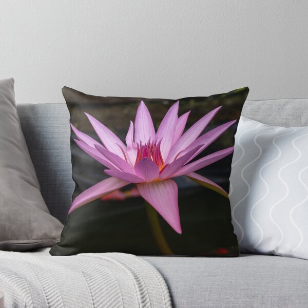 Item preview, Pink Water Lily in Full Bloom designed and sold by Twisted Light Images.