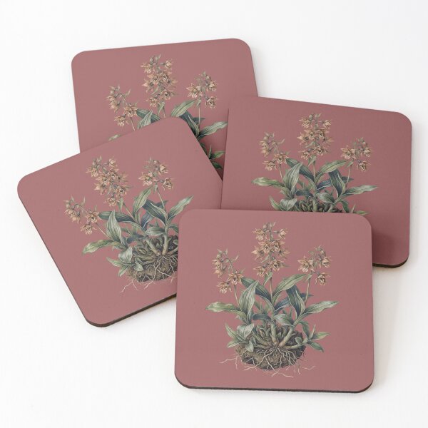 Item preview, The Stream-Bank Extortionist: Vintage Epipactis Gigantea Orchid Art Print designed and sold by FreiherrPK.