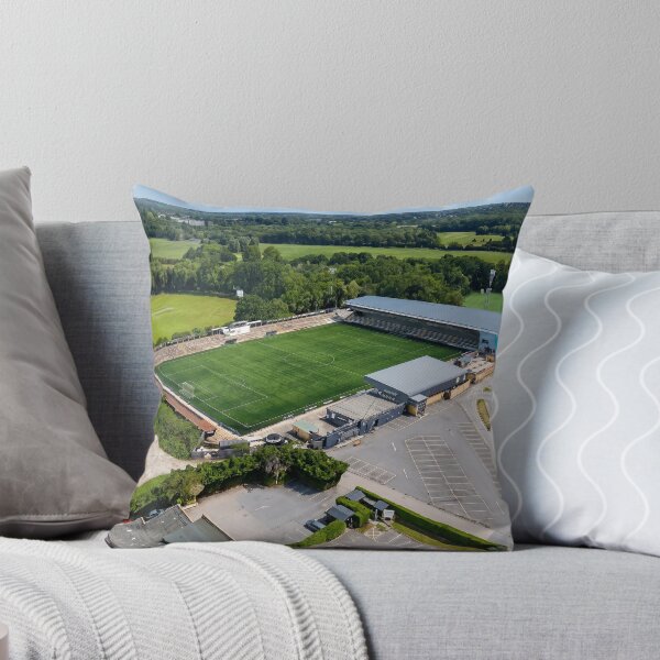 Item preview, Bromley FC, Hayes Lane Stadium designed and sold by ArtworkNorth.