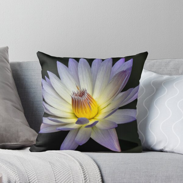 Item preview, Purple Water Lily in Full Bloom designed and sold by Twisted Light Images.