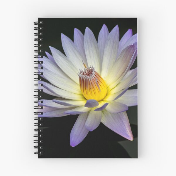 Item preview, Purple Water Lily in Full Bloom designed and sold by Twisted Light Images.