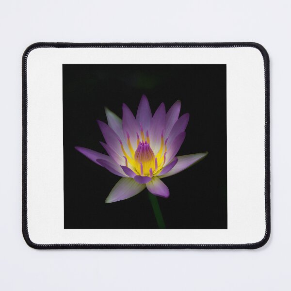 Item preview, Elegant Lotus Silk Flowers Design with Delicate Floral Details designed and sold by carlottamascolo.