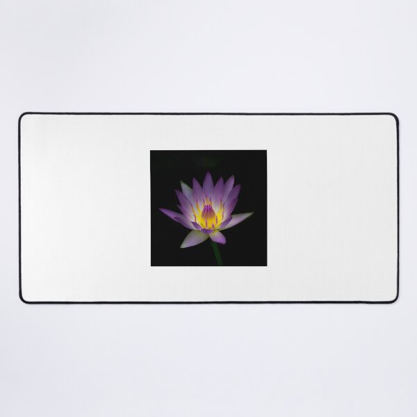 Item preview, Elegant Lotus Silk Flowers Design with Delicate Floral Details designed and sold by carlottamascolo.