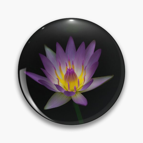 Item preview, Elegant Lotus Silk Flowers Design with Delicate Floral Details designed and sold by carlottamascolo.