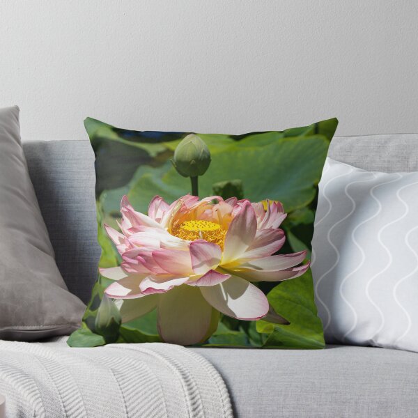 Item preview, Summer Zen: Pink Sacred Lotus Flower in Full Bloom designed and sold by Twisted Light Images.