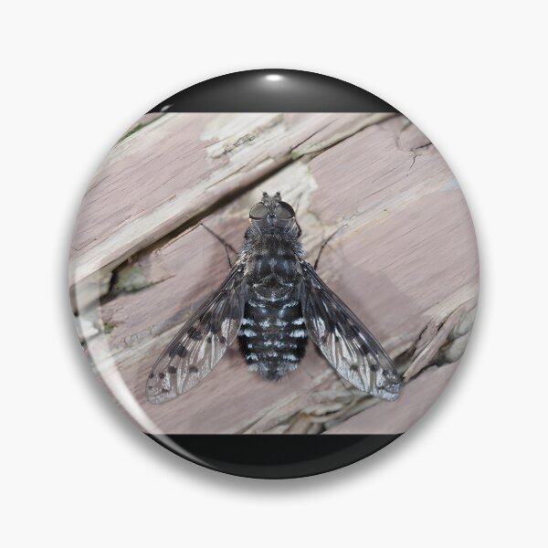 Item preview, Close-Up Illustration of Anthrax Spider Fly with Detailed Wings and Body designed and sold by RobotSnail.