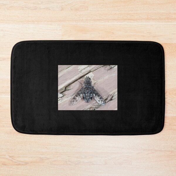 Item preview, Close-Up Illustration of Anthrax Spider Fly with Detailed Wings and Body designed and sold by RobotSnail.
