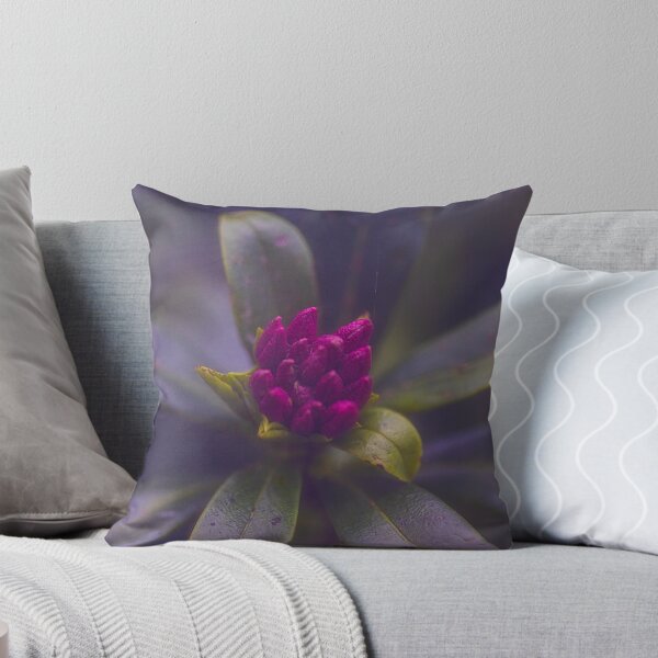 Artikelvorschau, Zarte Blume Stilles Erwachen entworfen und verkauft von Twisted Light Images.