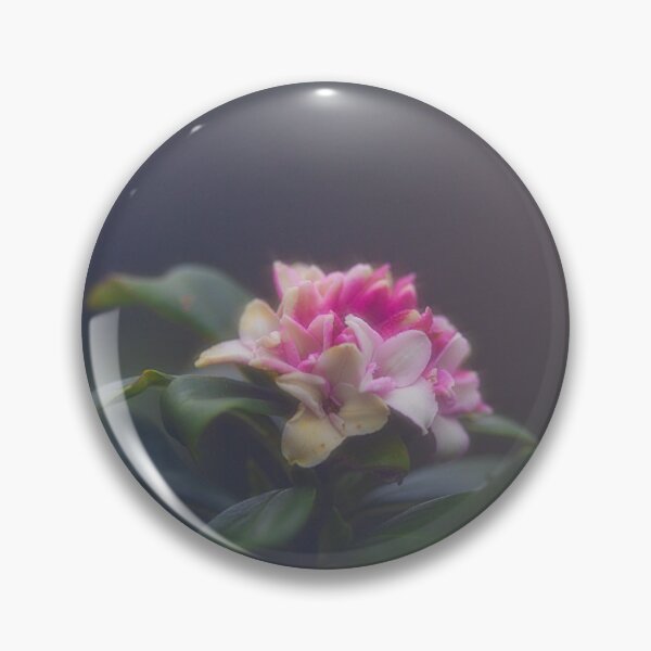 Item preview, Flower in Moody Light designed and sold by Twisted Light Images.