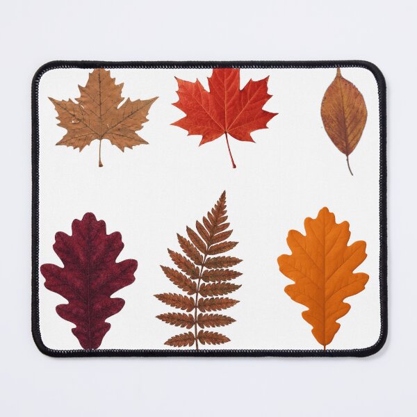 Item preview, Autumn leaves sticker set designed and sold by CovenAndCo.
