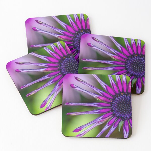 Artikelvorschau, Strahlende violette Blütenpracht entworfen und verkauft von Twisted Light Images.