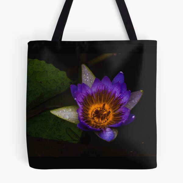 Item preview, Radiant Water Lily Bloom designed and sold by Twisted Light Images.