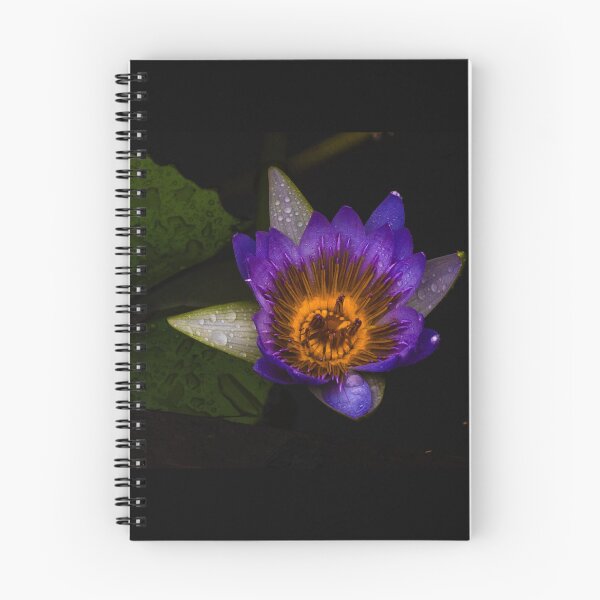 Item preview, Radiant Water Lily Bloom designed and sold by Twisted Light Images.