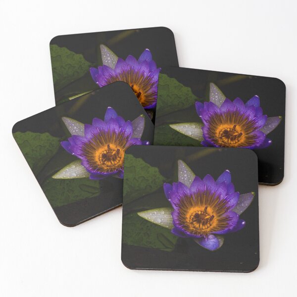 Item preview, Radiant Water Lily Bloom designed and sold by Twisted Light Images.