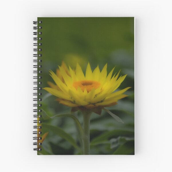 Artikelvorschau, Goldene Blütenblüte im Weichzeichner entworfen und verkauft von Twisted Light Images.