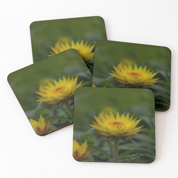 Item preview, Golden Flower Bloom in Soft Focus designed and sold by Twisted Light Images.