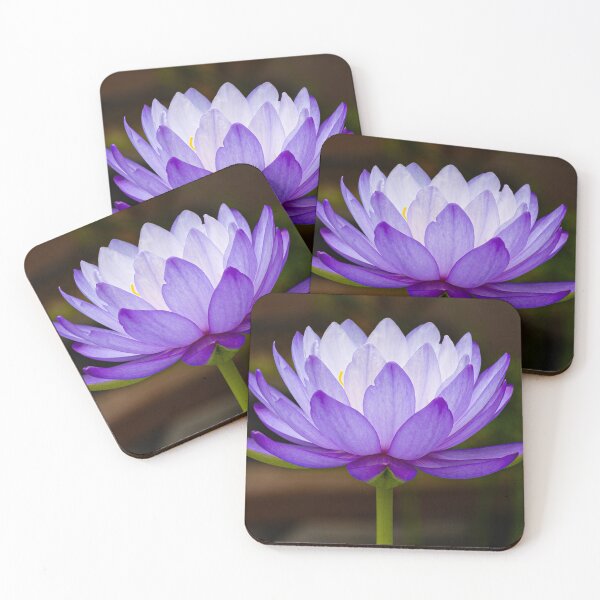 Item preview, Serene Lilac Lotus Flower designed and sold by Twisted Light Images.