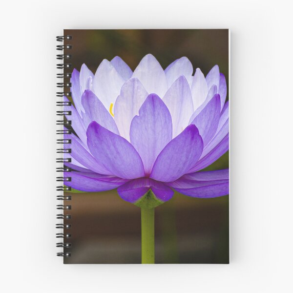 Item preview, Serene Lilac Lotus Flower designed and sold by Twisted Light Images.