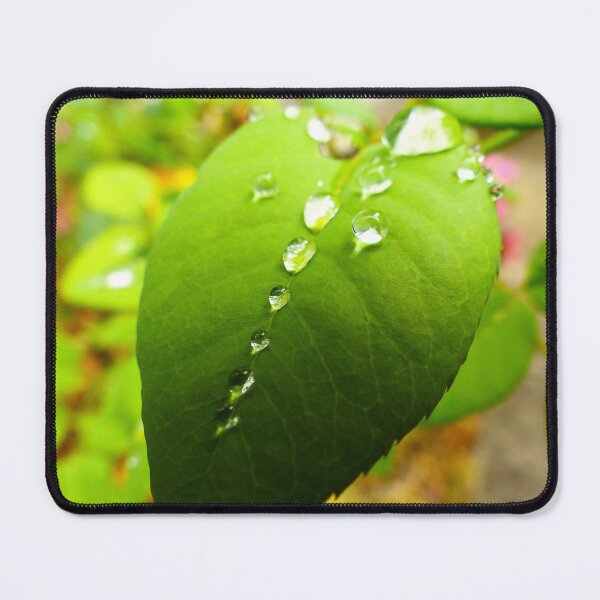 Artikelvorschau, Green leaf with water droplets - rain drops - dew drops - nature photography entworfen und verkauft von WolfRaven Photography .