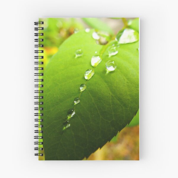 Artikelvorschau, Green leaf with water droplets - rain drops - dew drops - nature photography entworfen und verkauft von WolfRaven Photography .