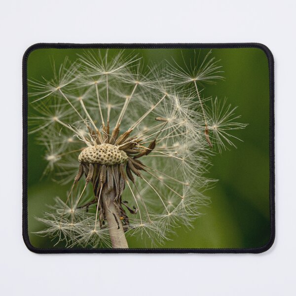 Item preview, A Dandelion in a Fragile Departure designed and sold by Twisted Light Images.